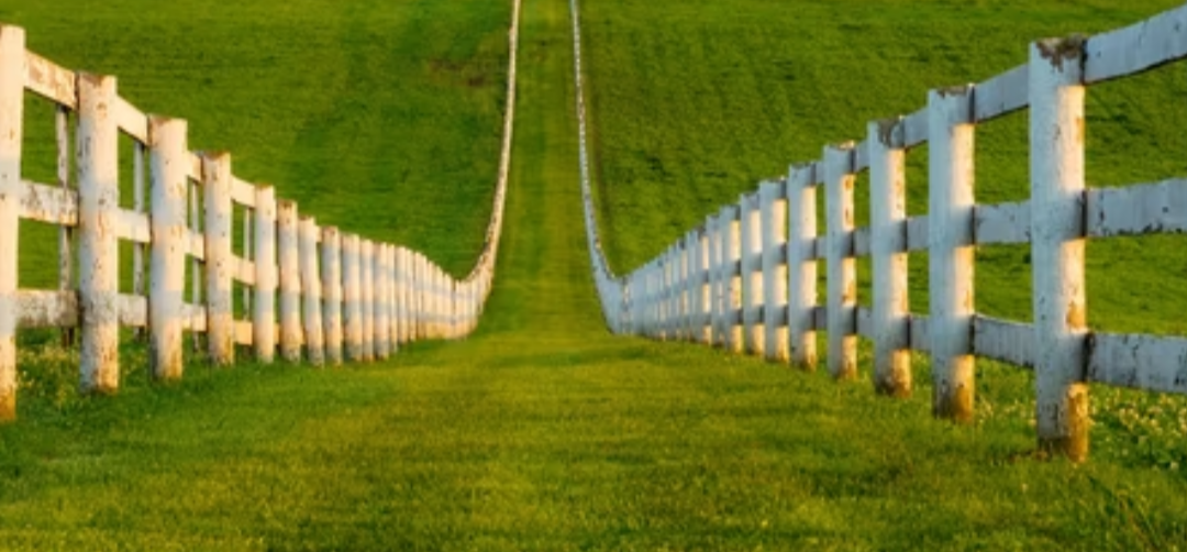 Screenshot_20250730-122927_Chrome