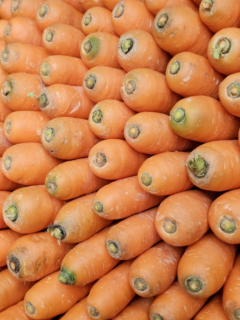 garden website garden website